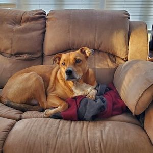 Meet your Posher, Jim